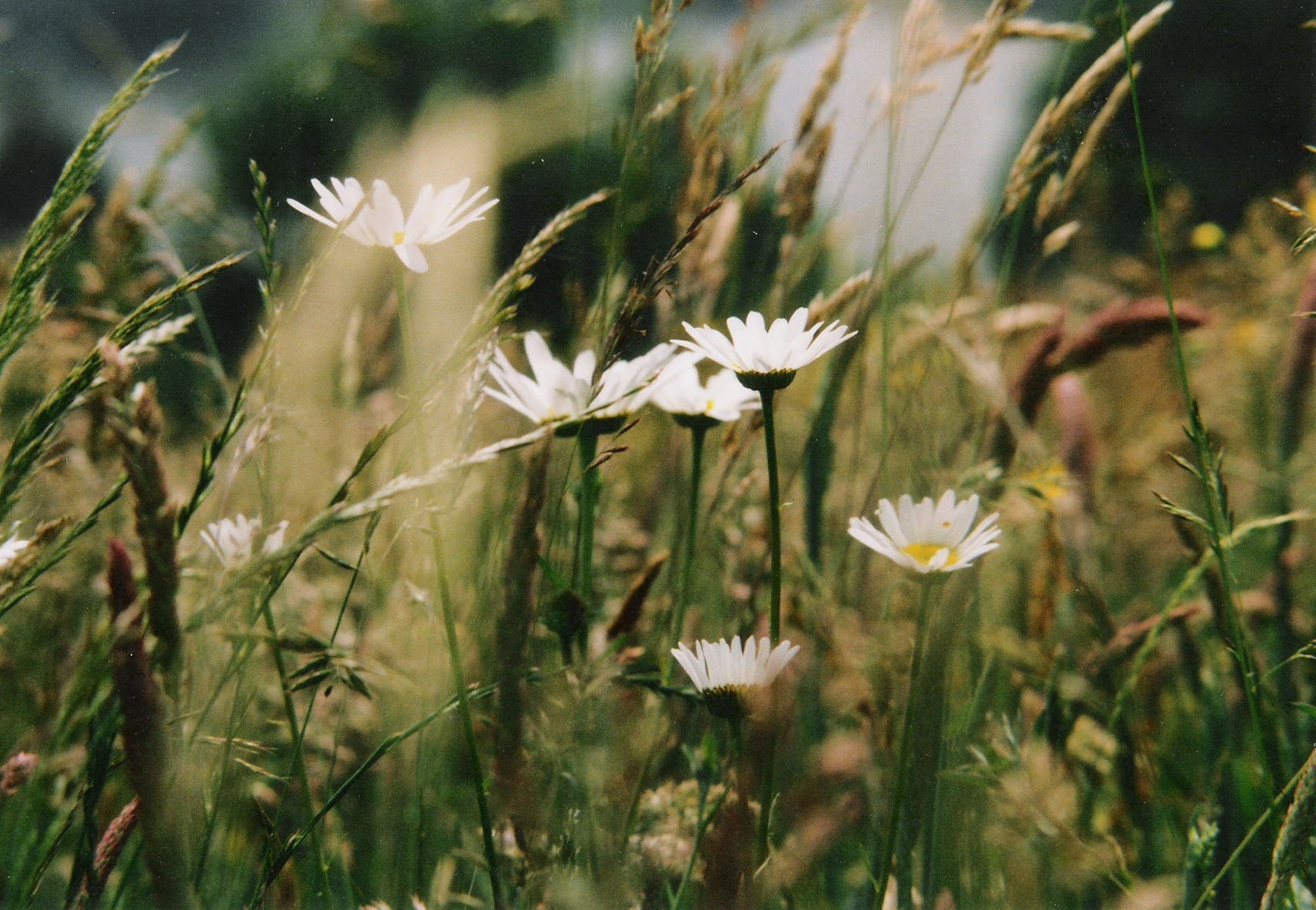 Annexe Val Joly - Avesnois.jpg