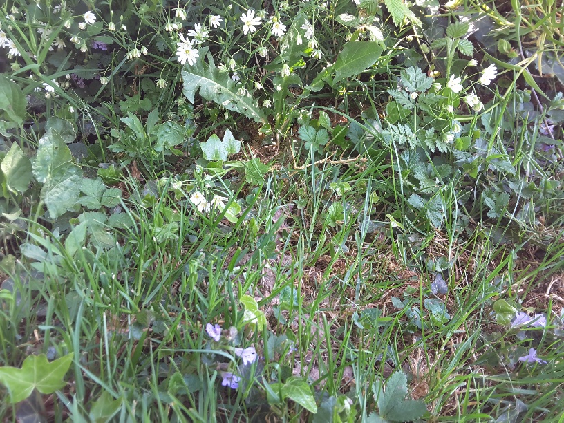 Annexe Vue generale.jpg