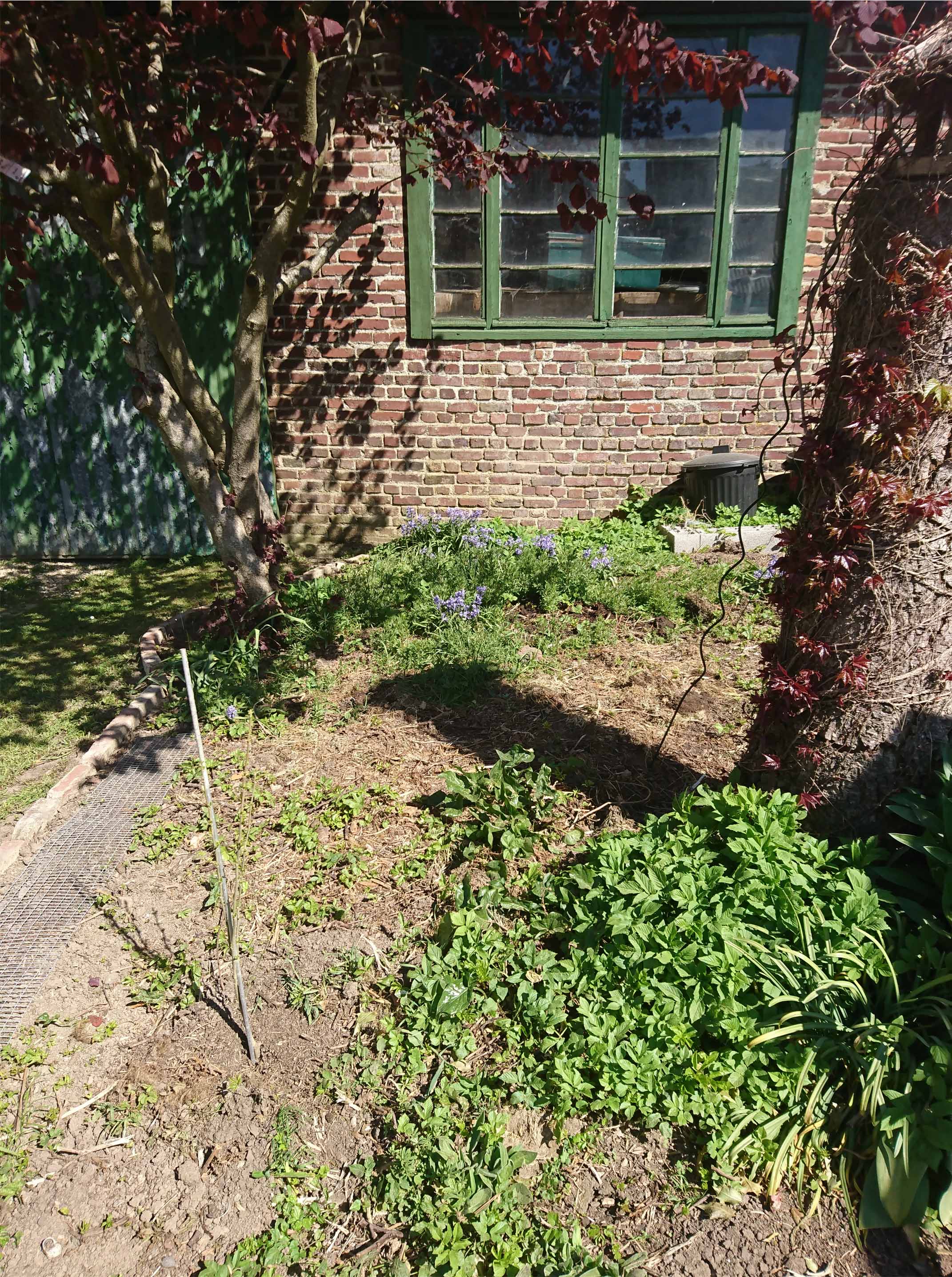 Annexe coin de jardin.jpg