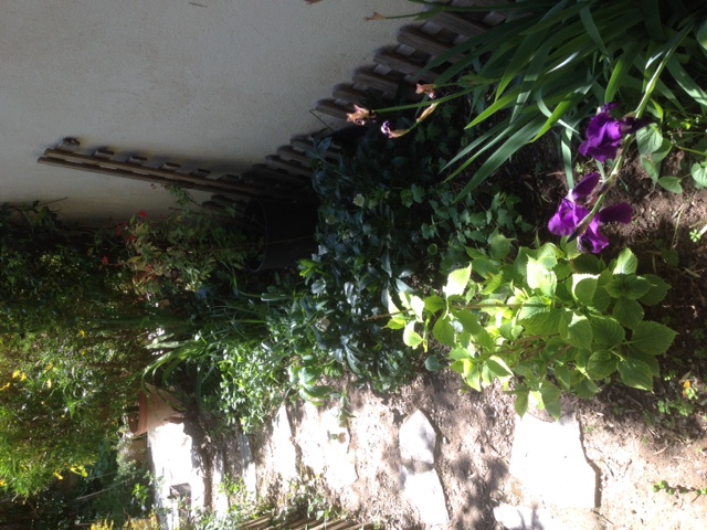 Annexe biodiversité au jardin.JPG