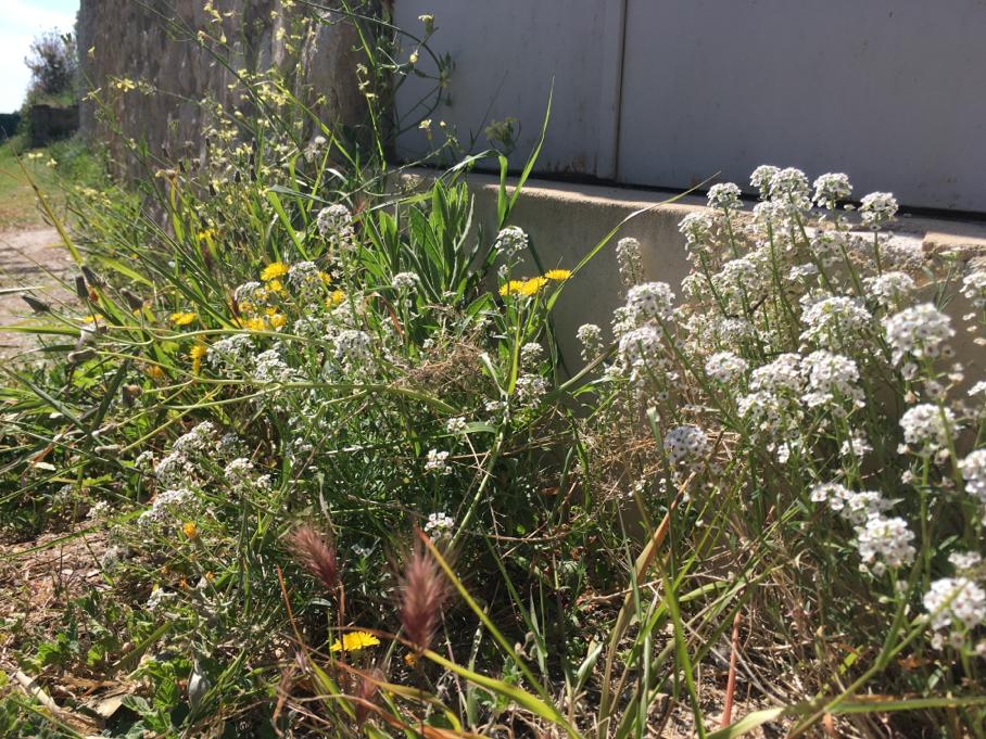 Annexe WhatsApp Image 2020-04-15 at 15.40.57.jpeg