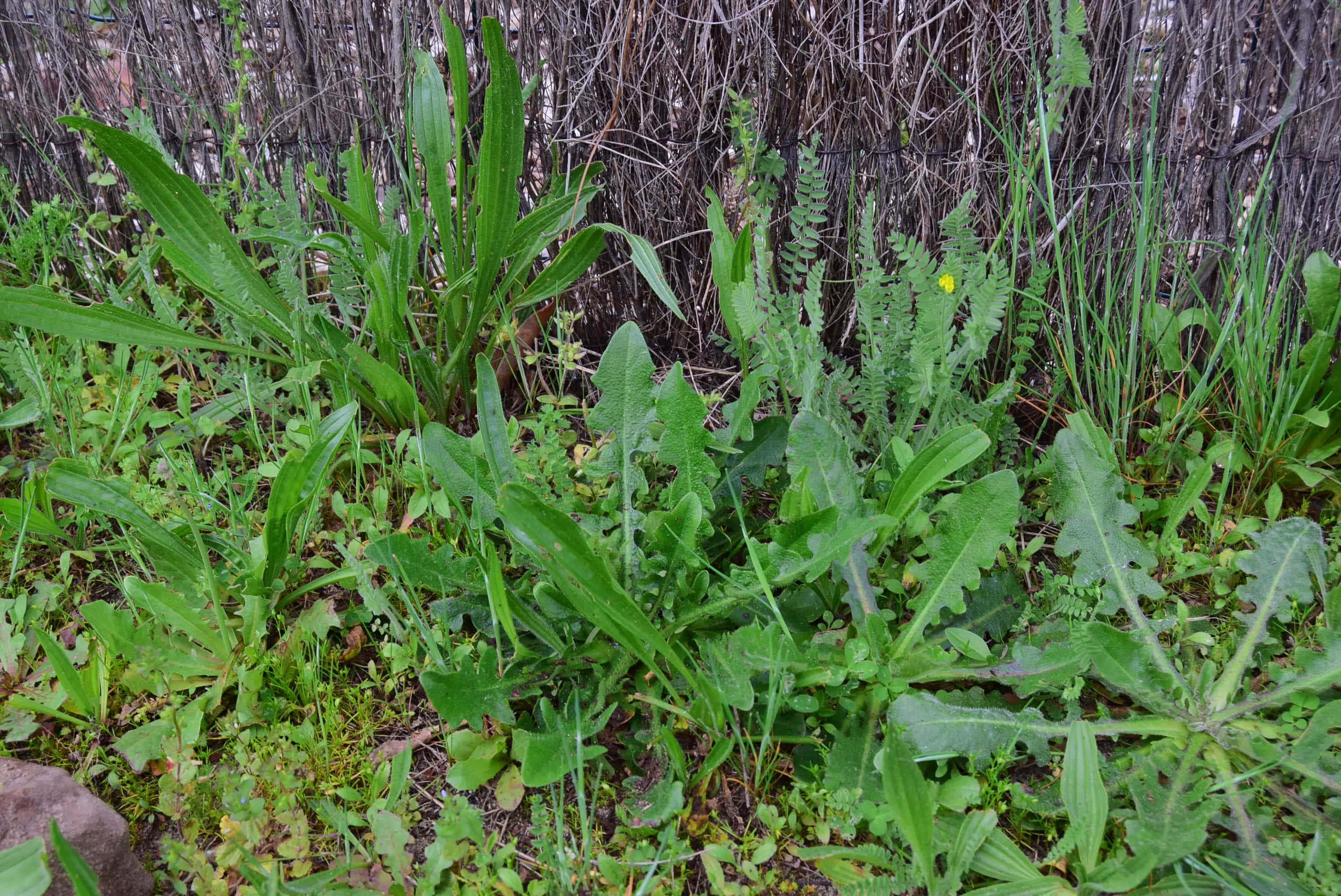 Annexe DSC_0018-min.JPG