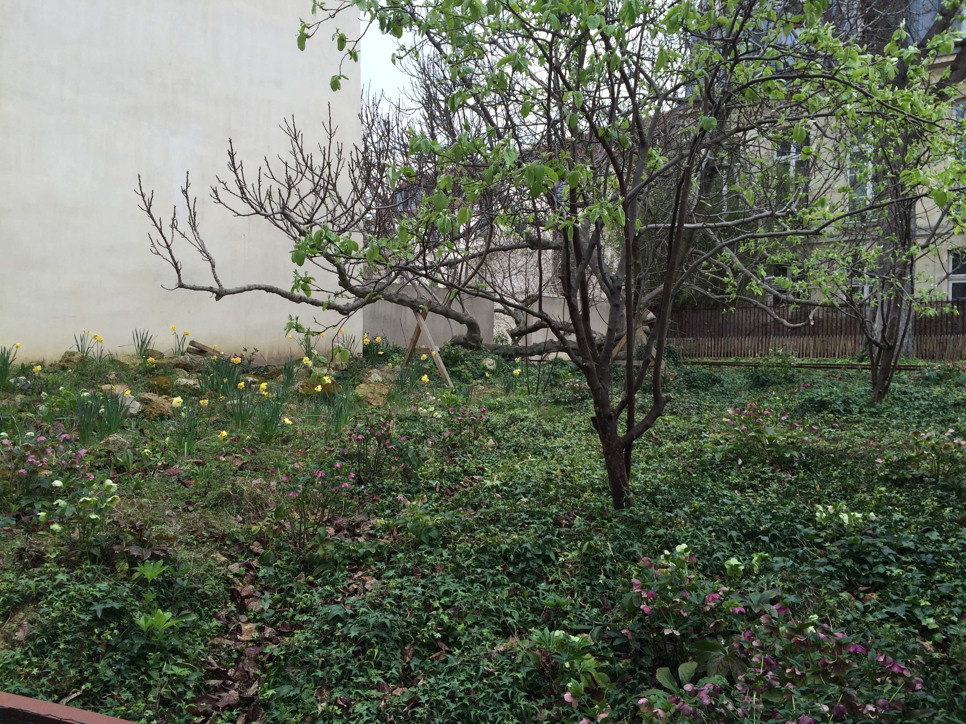 Annexe Biodiv jardin Rosiers 2.jpg