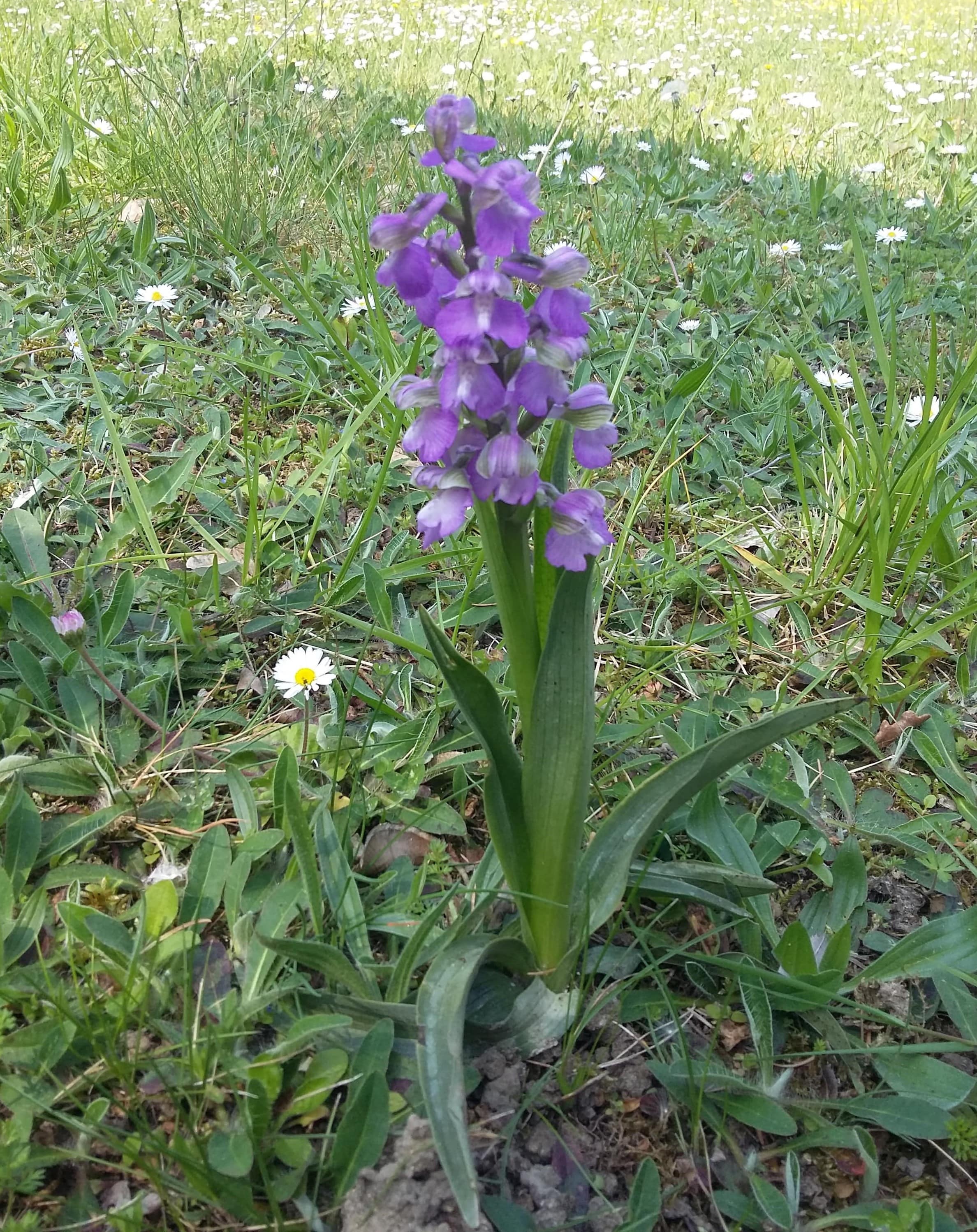 Annexe 20200413_142332-min (2)-min.jpg