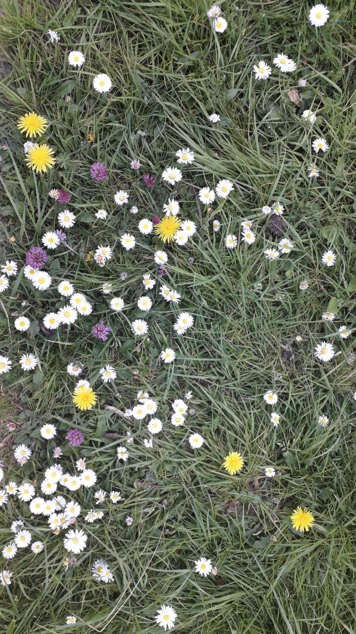 Annexe thumbnail.jpg