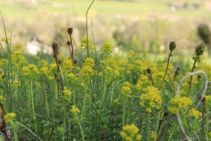 Annexe 1587023039745.jpg