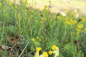 Annexe 1587023177423.jpg