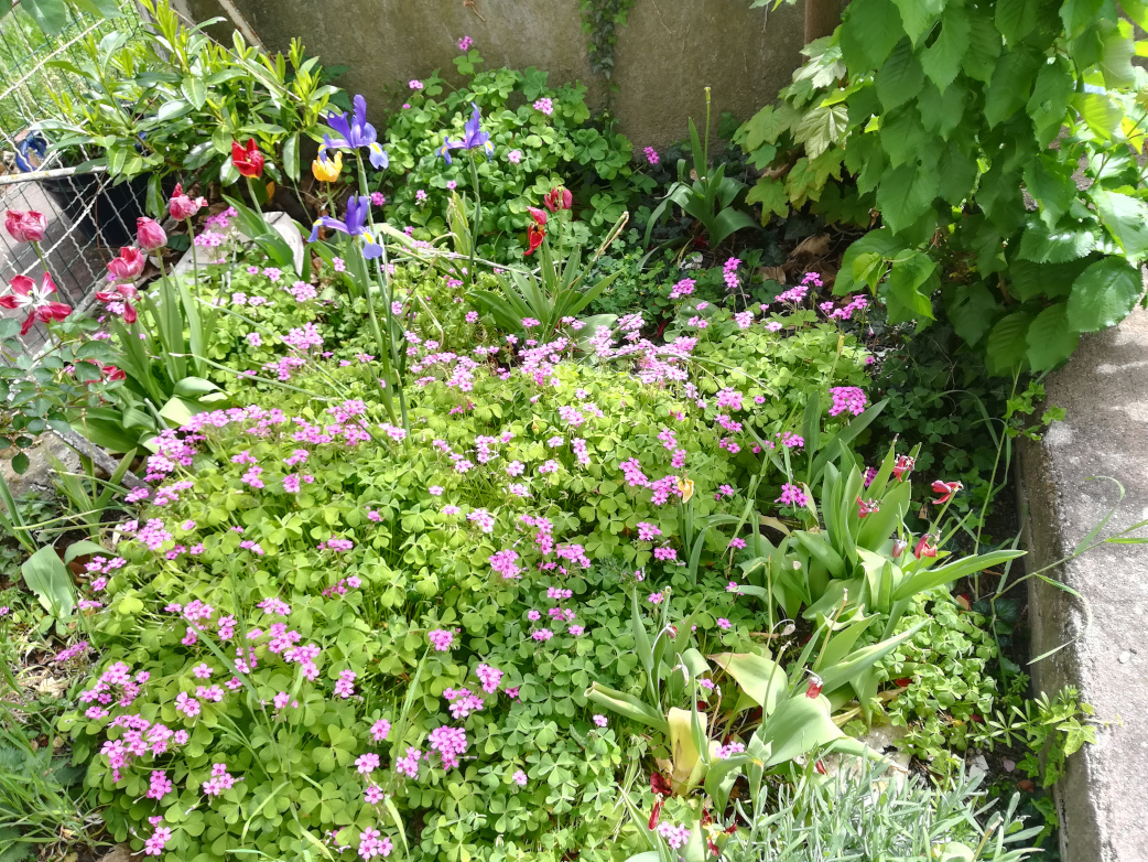 Annexe IMG_20200416_141657.jpg