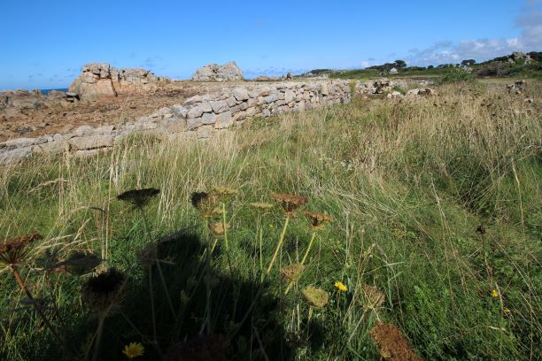 Annexe mini bret.JPG