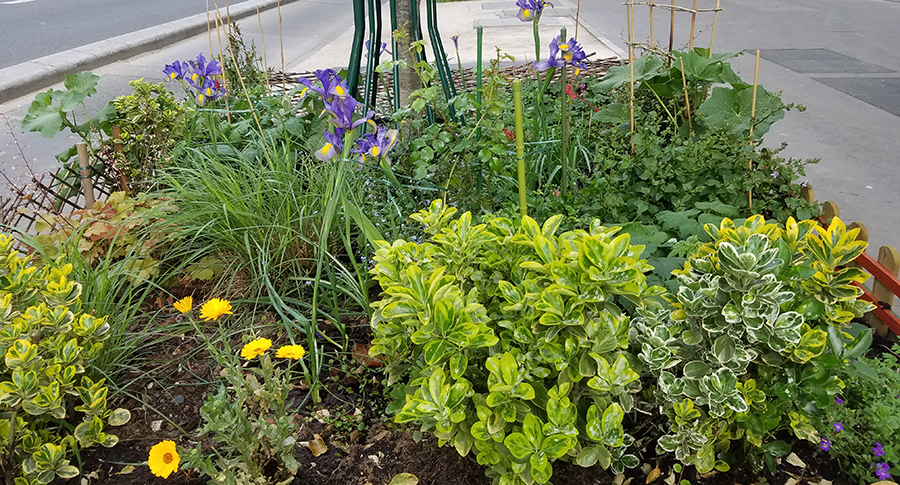 Annexe Espace végétalisé à Paris.jpg