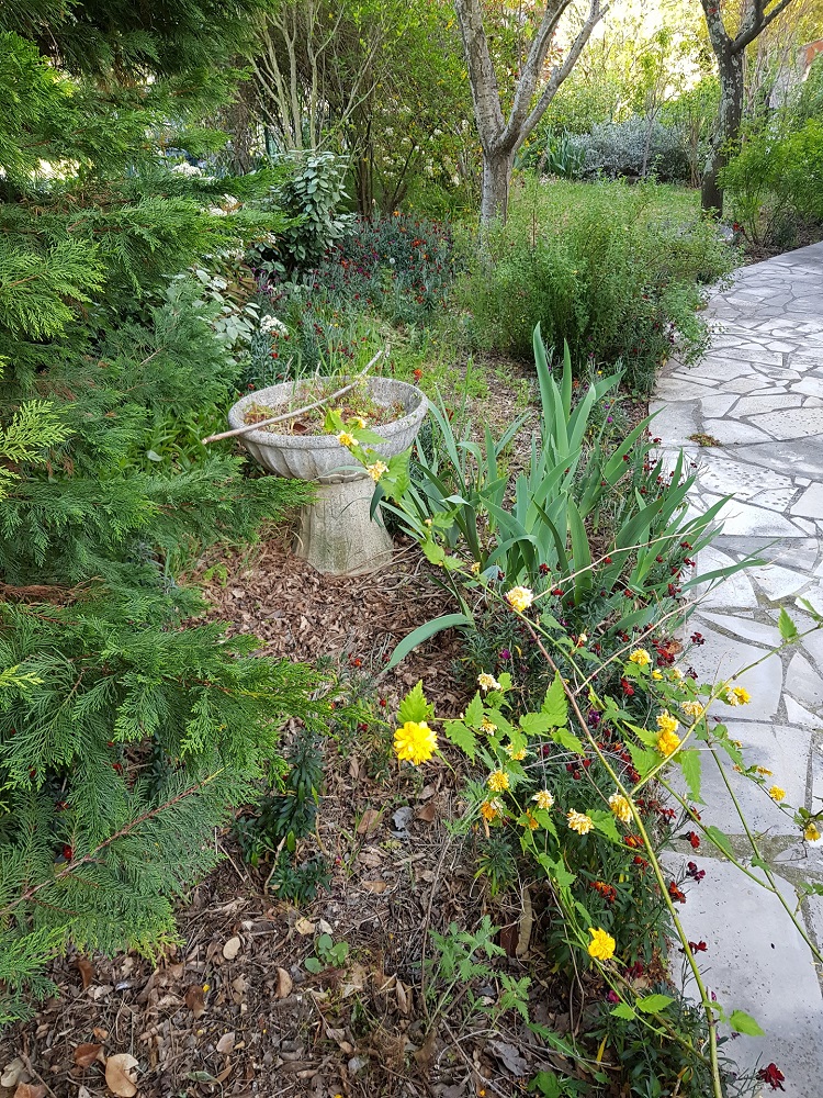 Annexe 20200415_184204_min.jpg