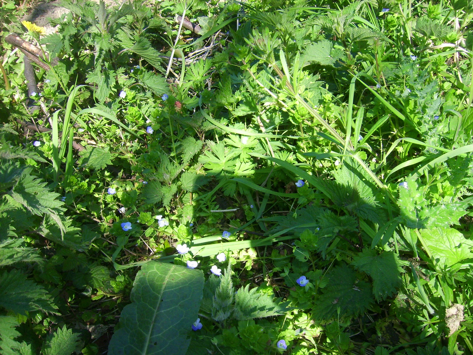 Annexe DSCI00021.jpg