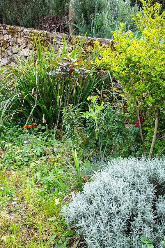 Annexe BIODIVERSITE.jpg