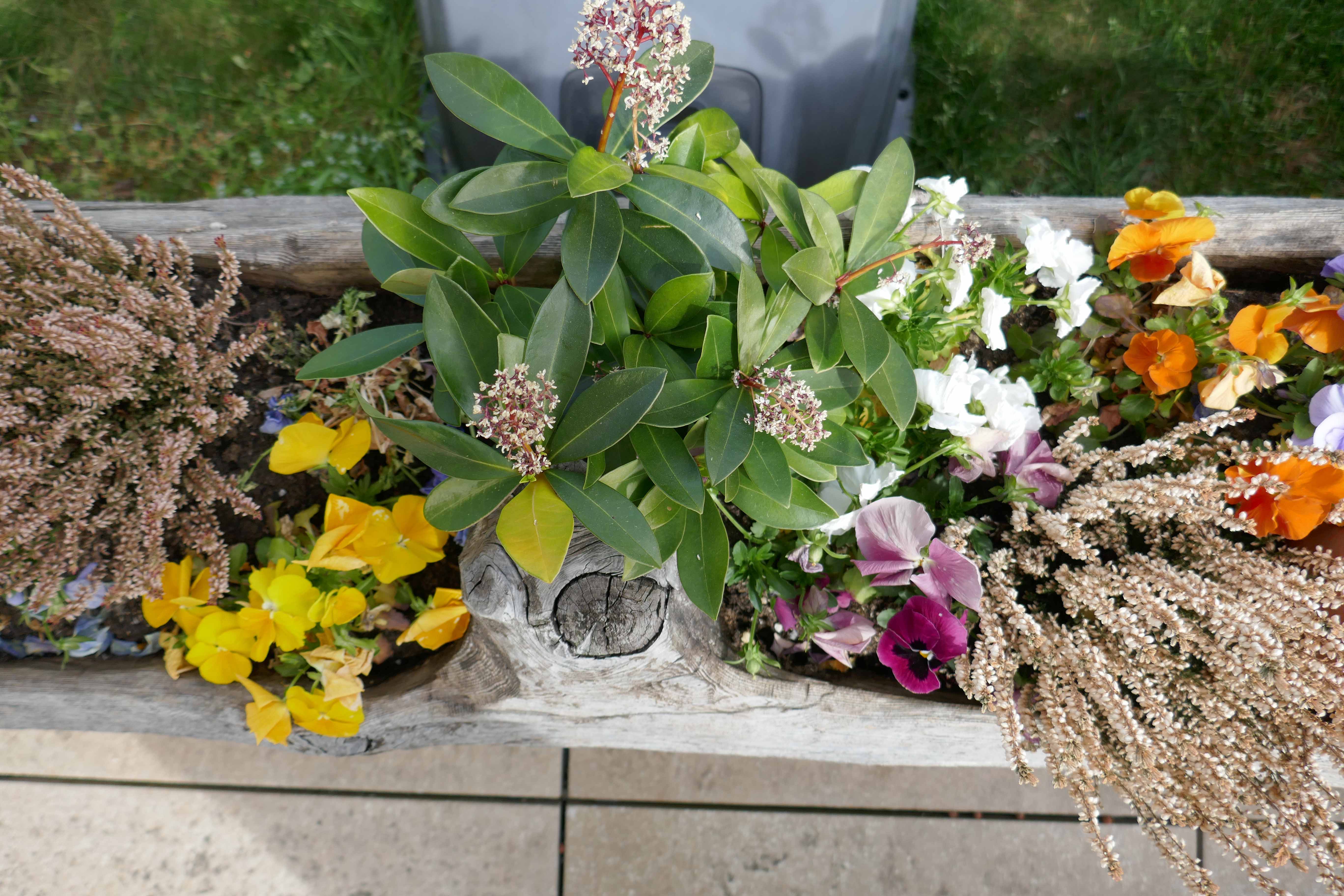 Annexe Pot de fleurs2.jpg