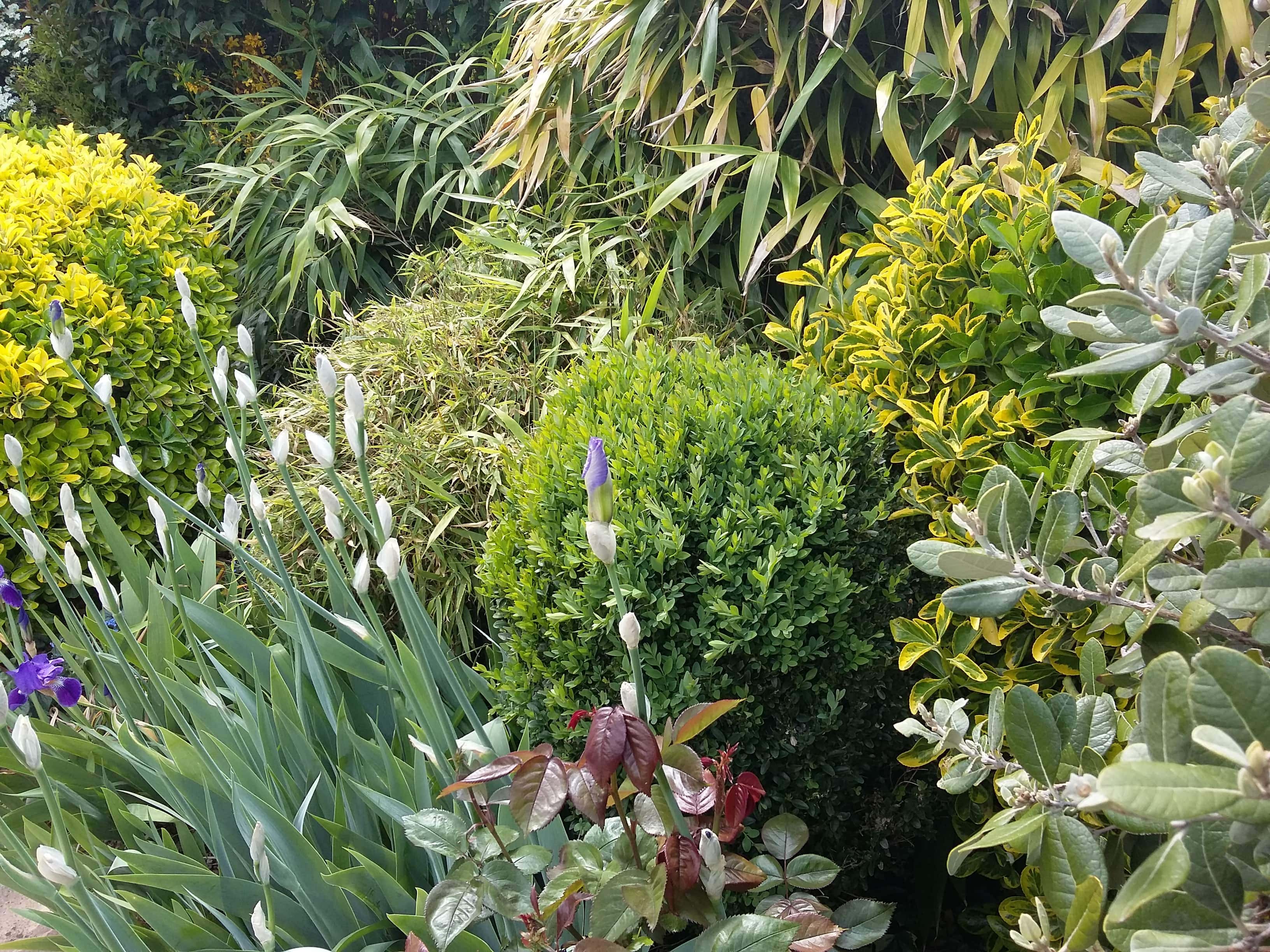 Annexe Biodiversité.jpg