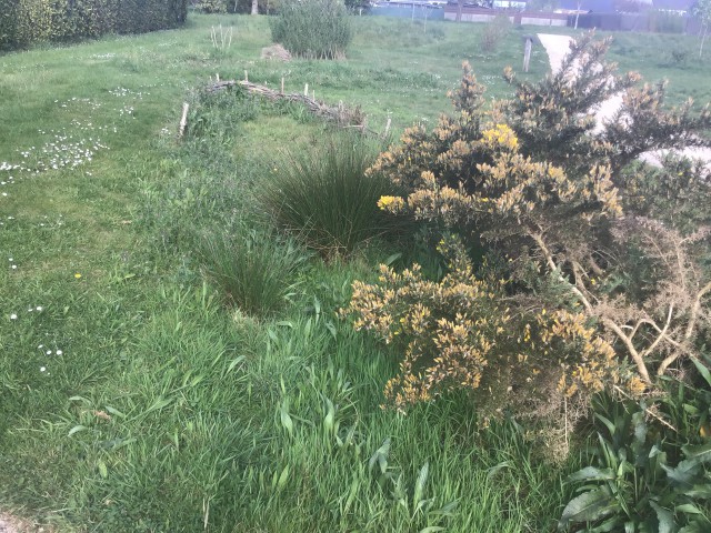 Annexe Ensemble 1.jpg