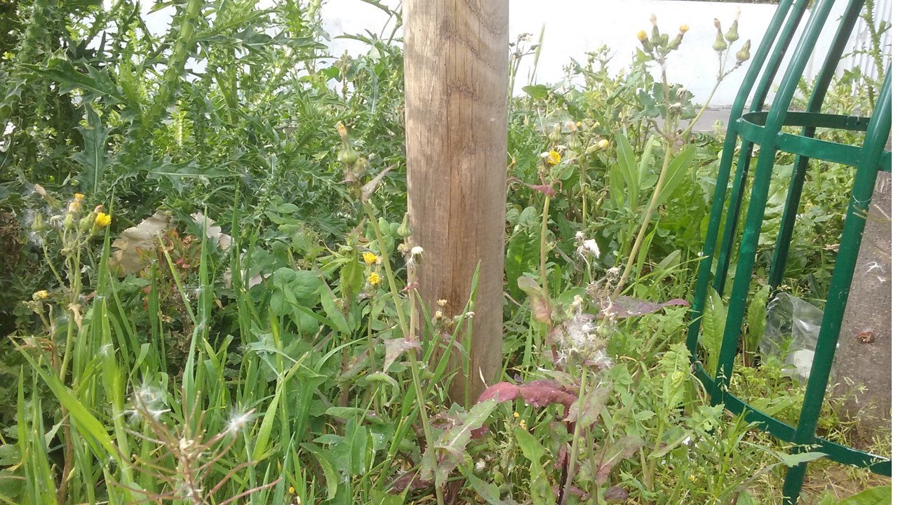 Annexe Présentation1.jpg