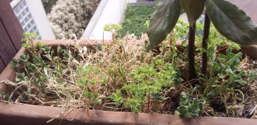 Annexe Capture d’écran 2020-04-18 à 14.38.02.png