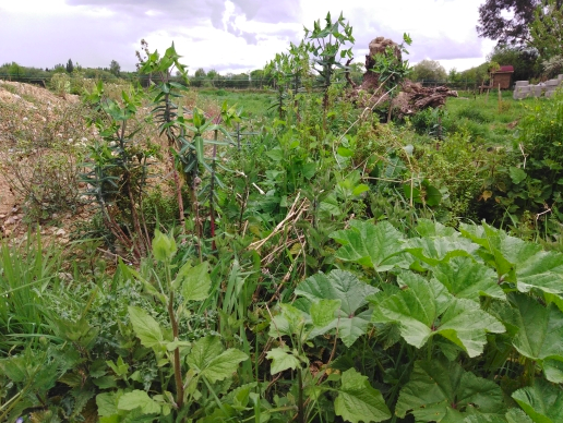 Annexe Capture du 2020-04-18 14-24-26.png