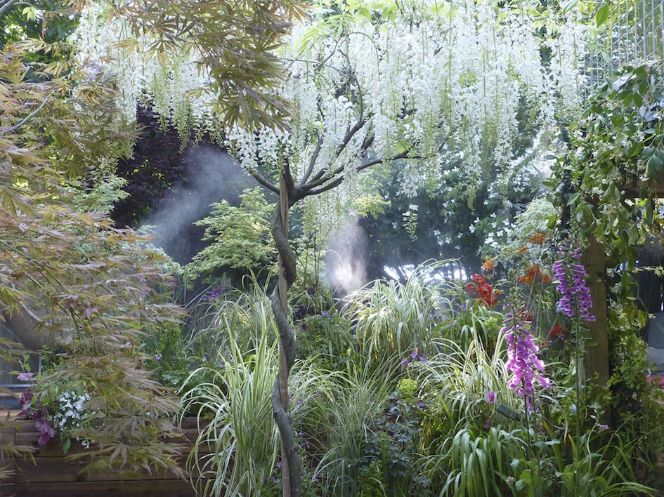 Annexe biodiversité - jardin dornement.jpg