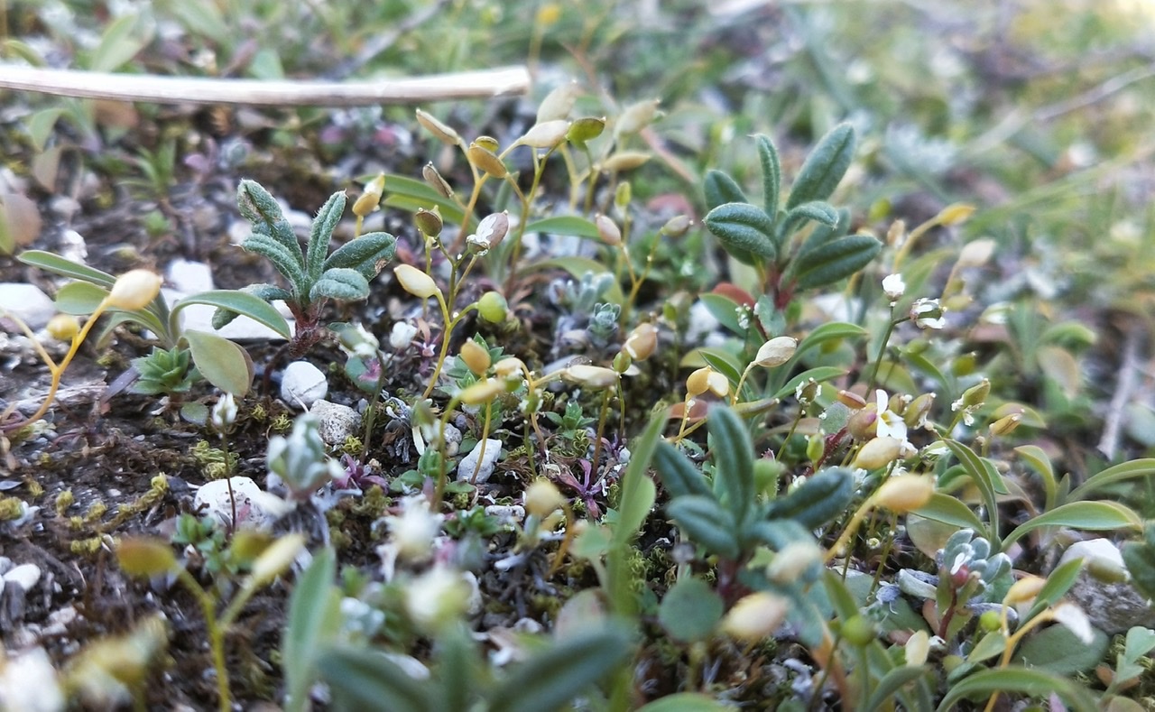 Annexe 0C322D0B-DC82-4B68-998F-B1A88A6DD9DB.jpeg