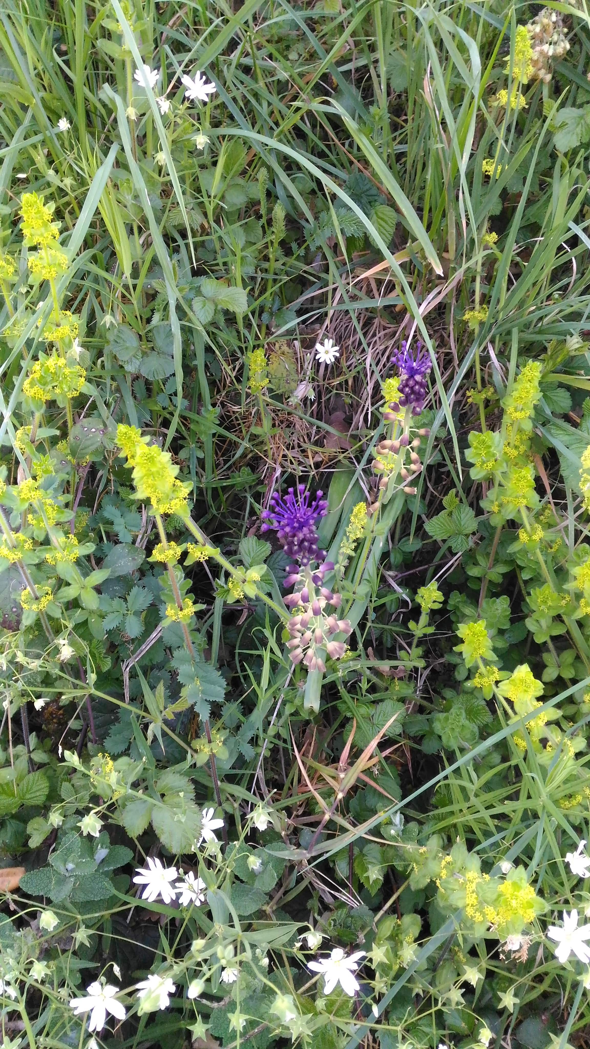 Annexe P_20200414_182810-min.jpg