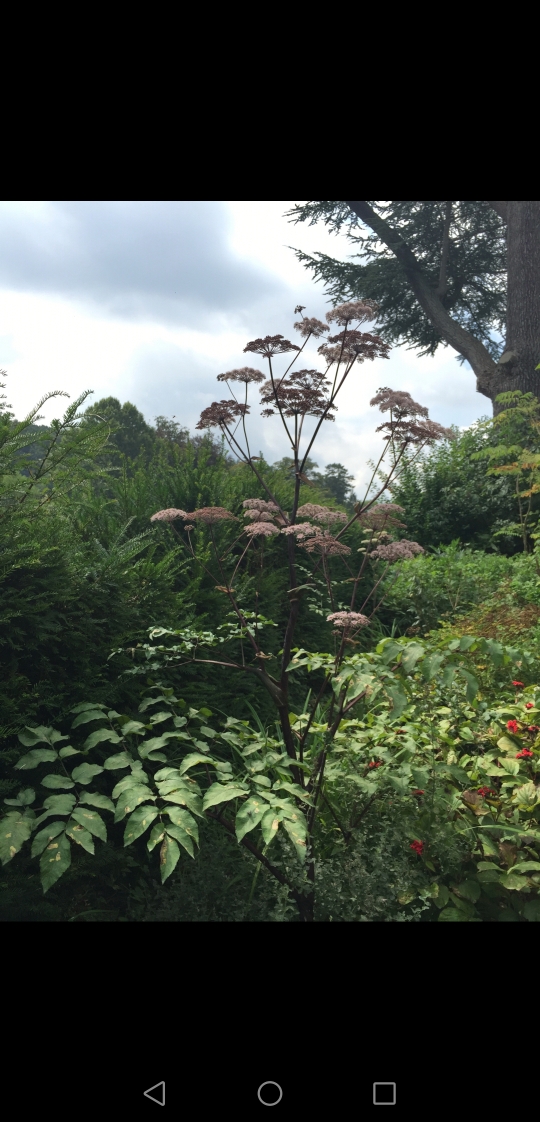 Annexe Normandie.jpg