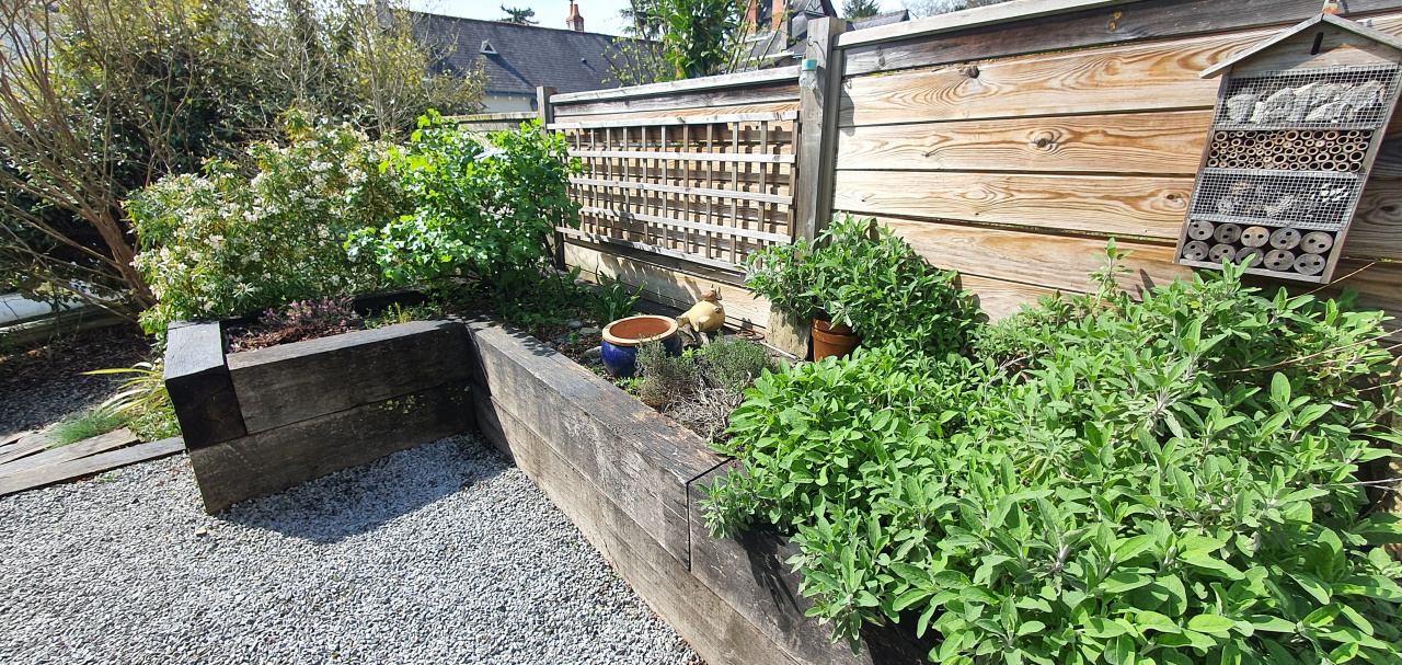 Annexe IMG_20200419_094918.jpg