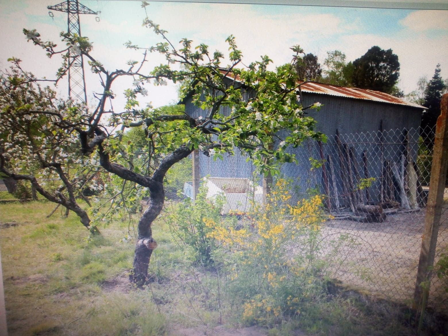 Annexe 94105263_277637996592804_5777354358903537664_n.jpg