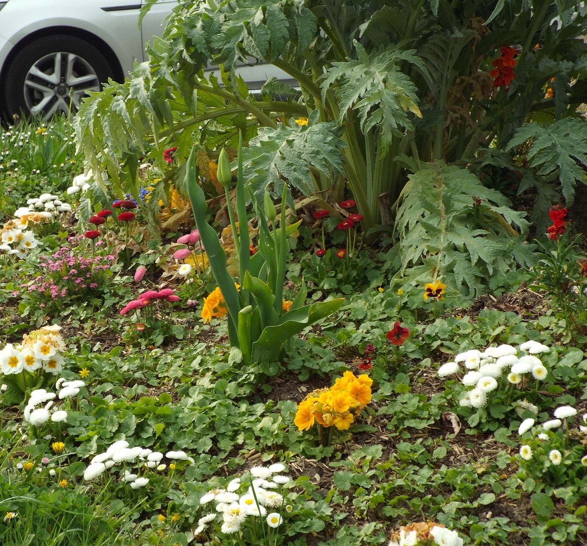 Annexe biodiversité.JPG