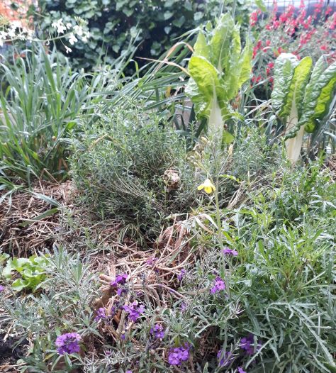 Annexe mooc tela N.jpg