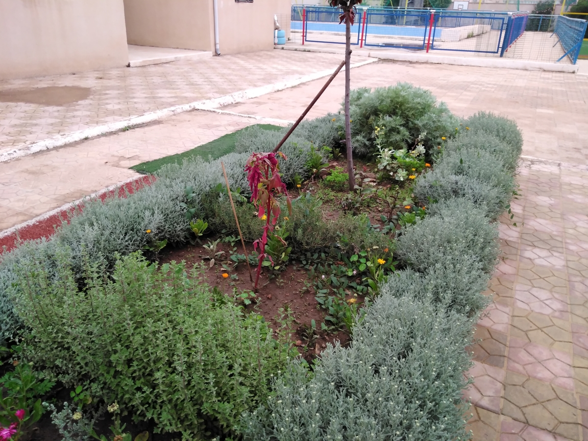 Annexe Optimized-IMG_20200418_183505.jpg