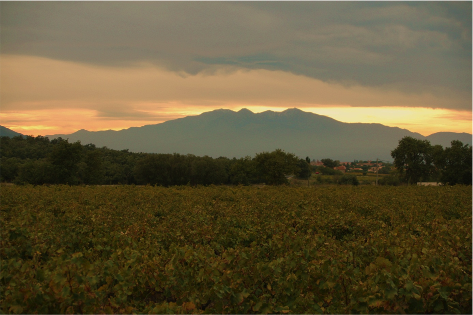 Annexe Entre mer et montagne - Guillem Picot.png
