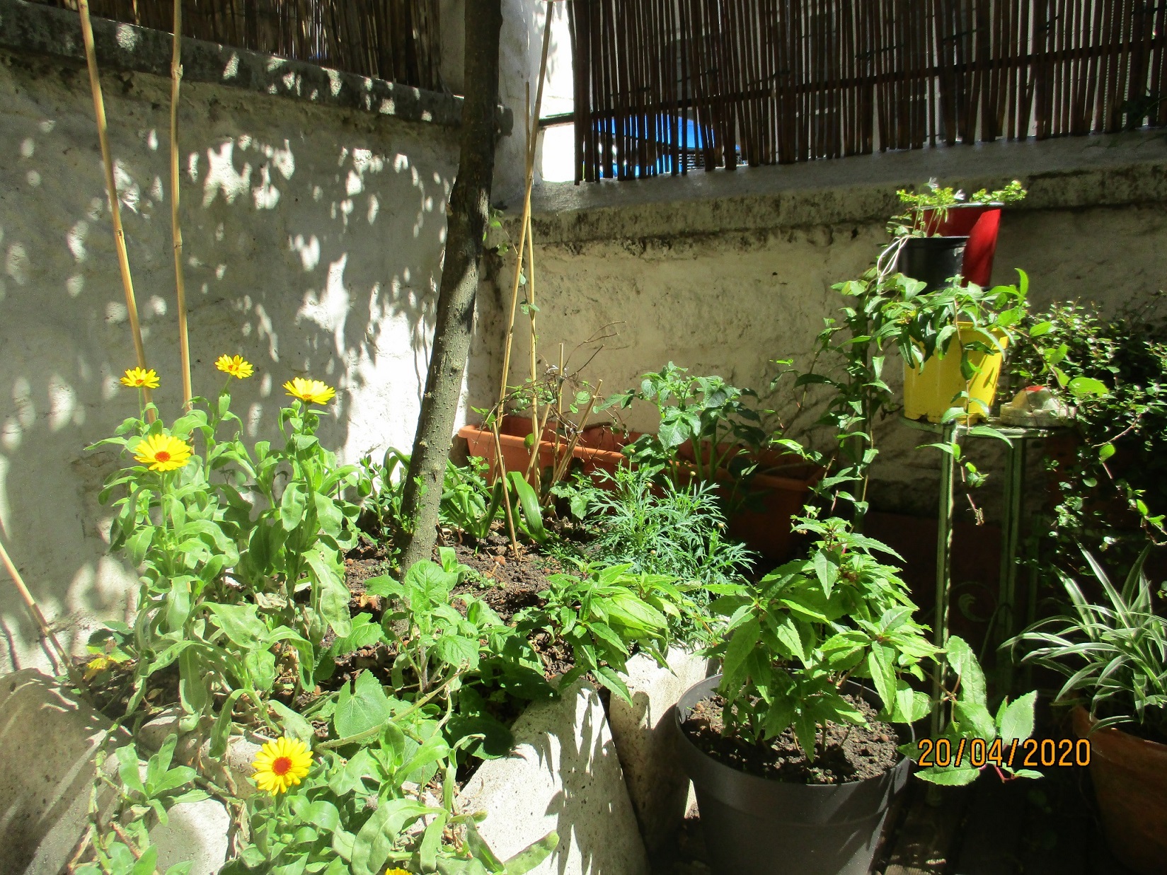 Annexe Balcon-parisien.JPG