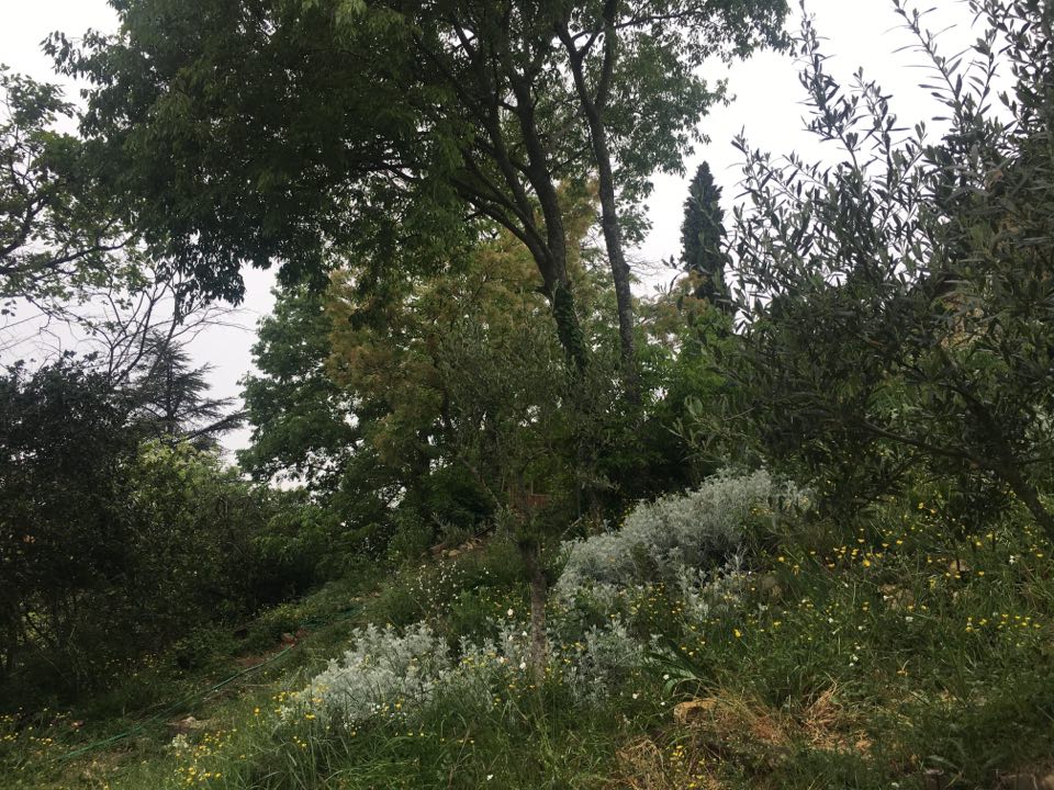 Annexe 94001492_702618750505781_1569245608164720640_n.jpg