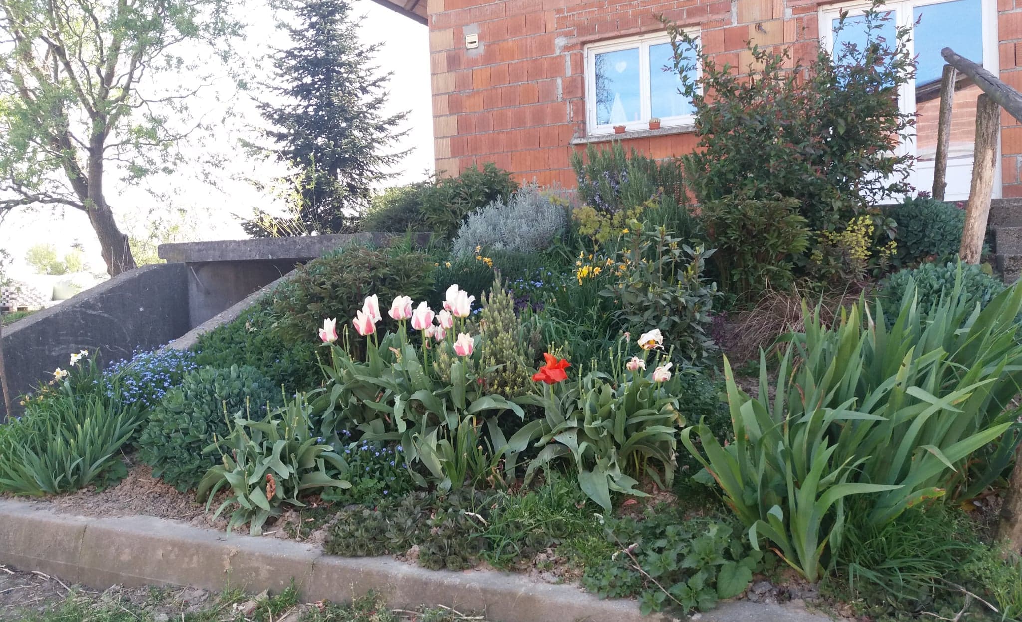 Annexe Massif Becker.jpg