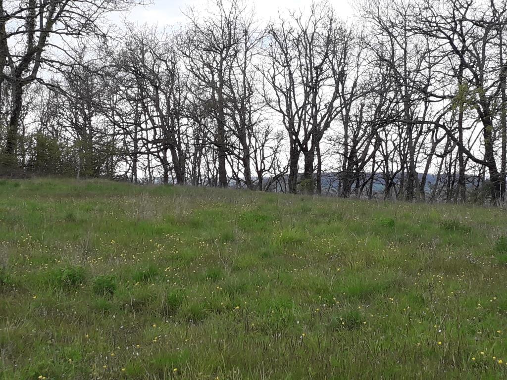 Annexe Biodiversité sur le plateau St Michel Penne dAgenais.jpg