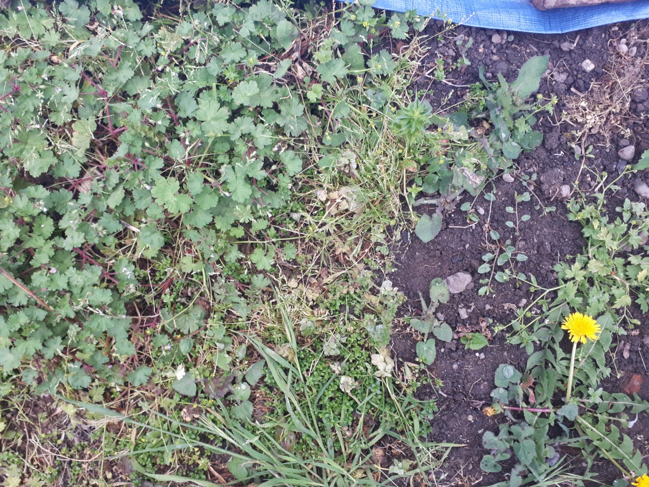 Annexe thumbnail_20200420_200014.jpg