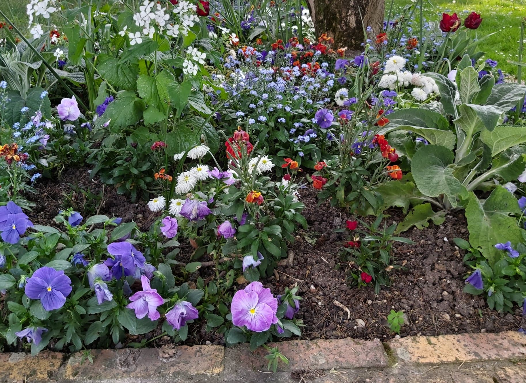 Annexe Parterre 1.jpg