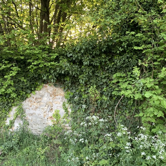 Annexe 00A7F248-AFCE-4F65-BDC2-241AEC61CBB9.jpeg