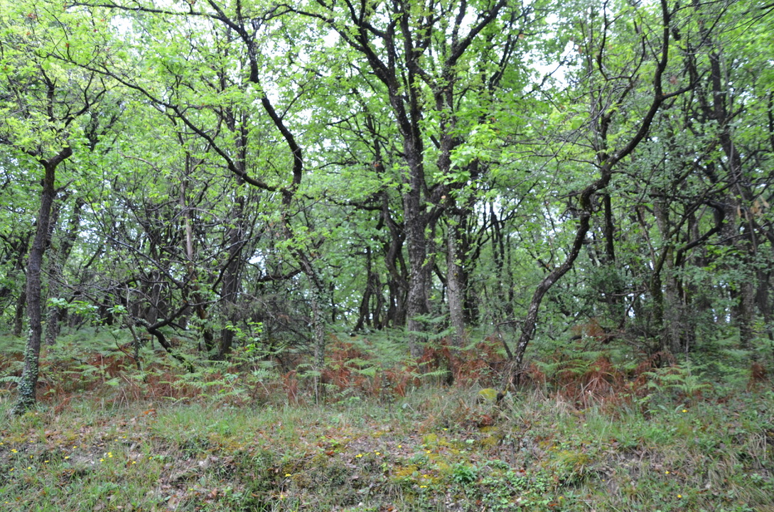 Annexe UNADJUSTEDNONRAW_thumb_d5a.jpg