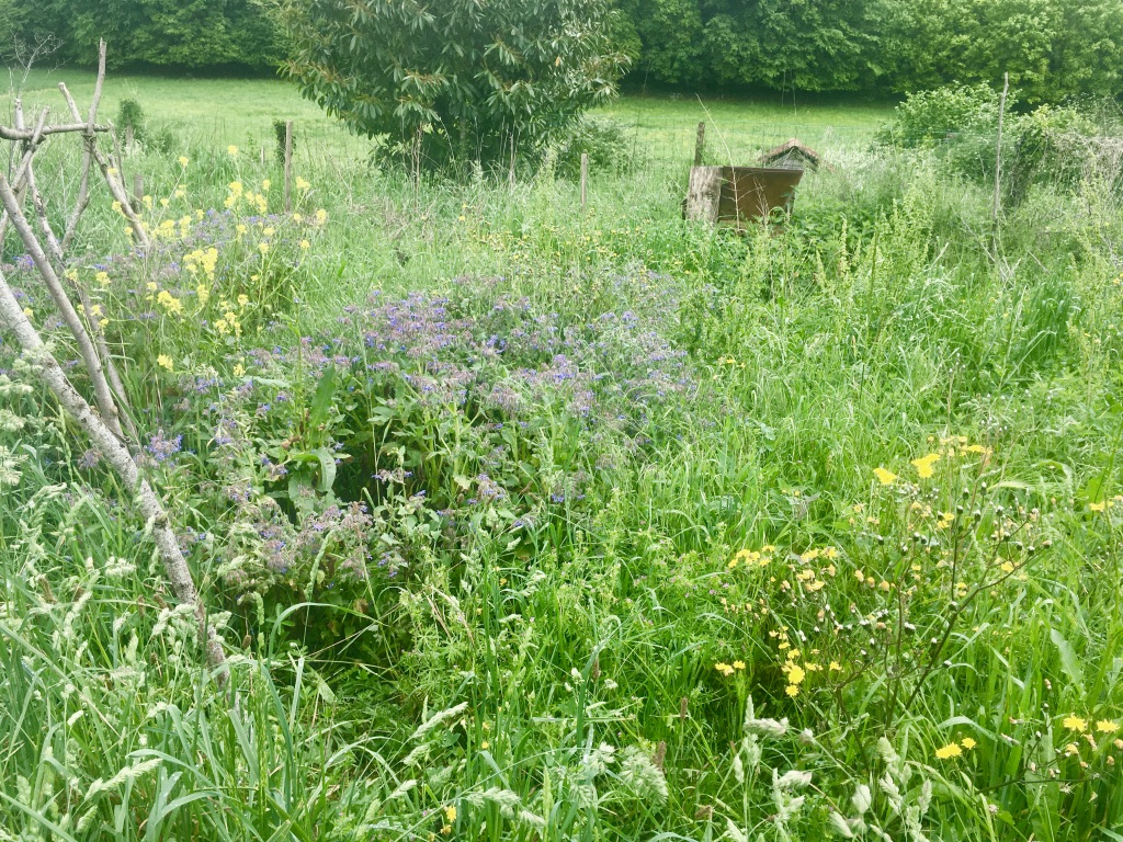 Annexe a4KXn06YTISQEE3La8eISw_thumb_d7f.jpg