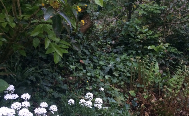 Annexe Capture 4.PNG