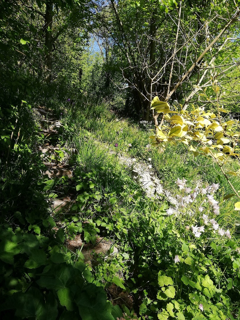 Annexe IMG_20200422_102353.jpg