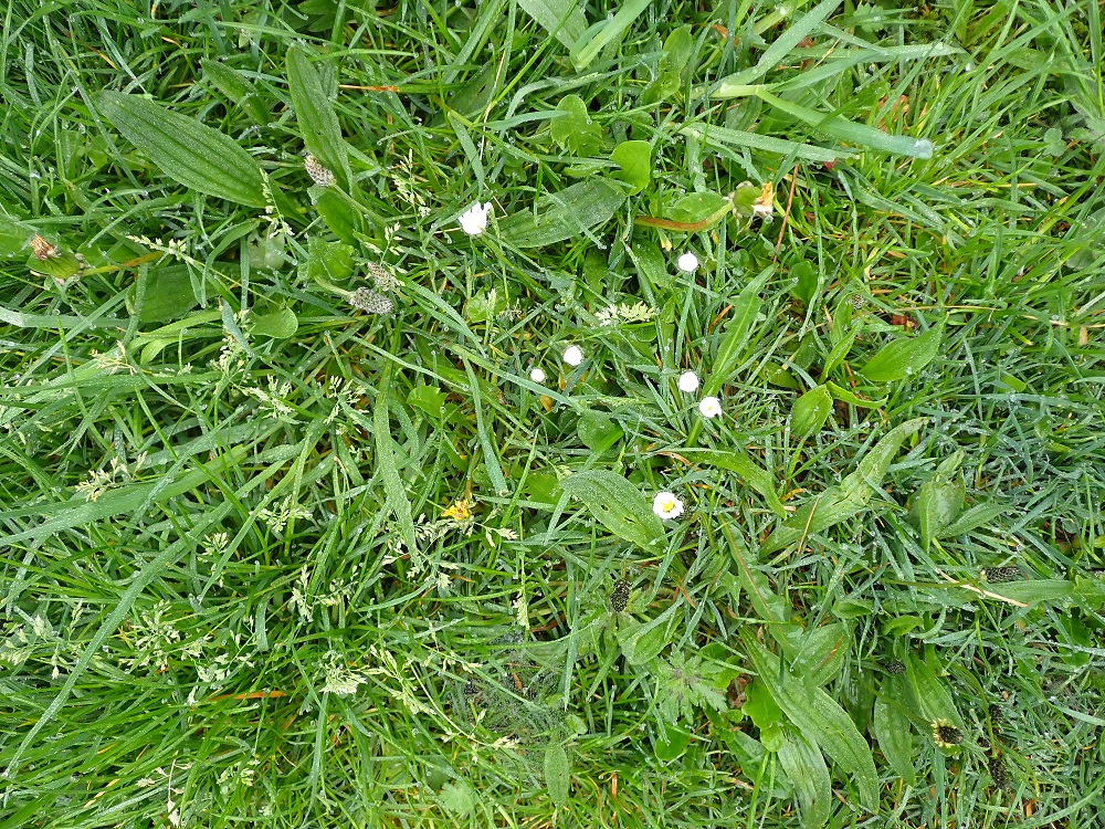 Annexe milieu général.JPG