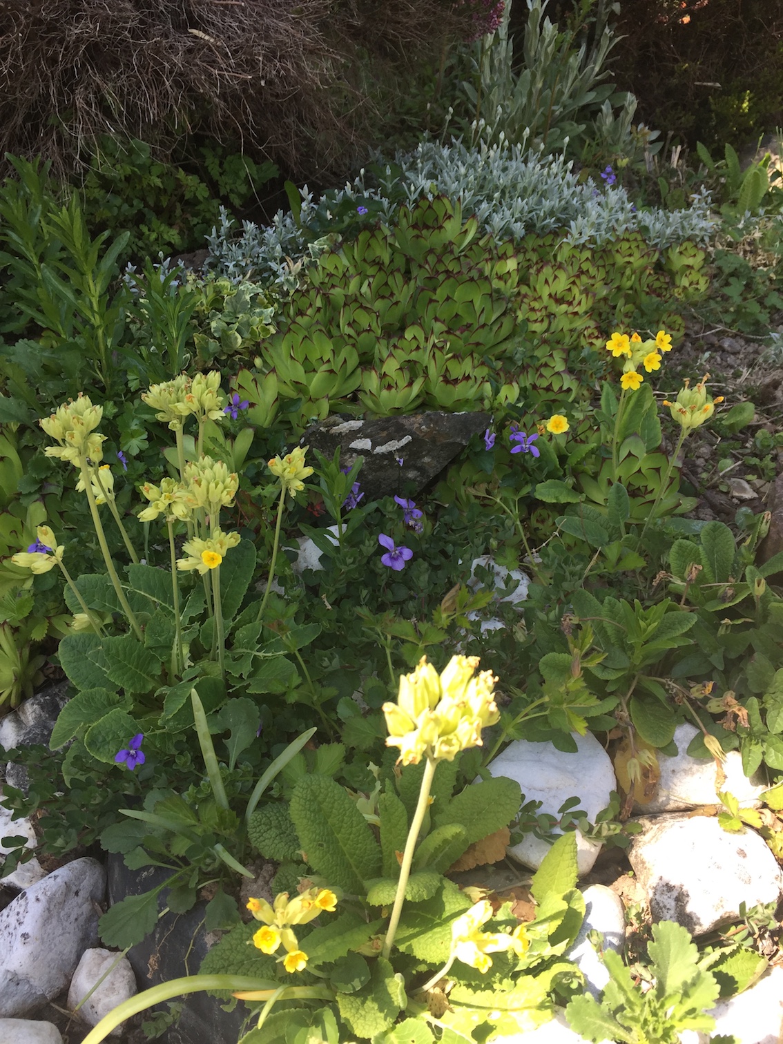 Annexe biodiversite.JPG