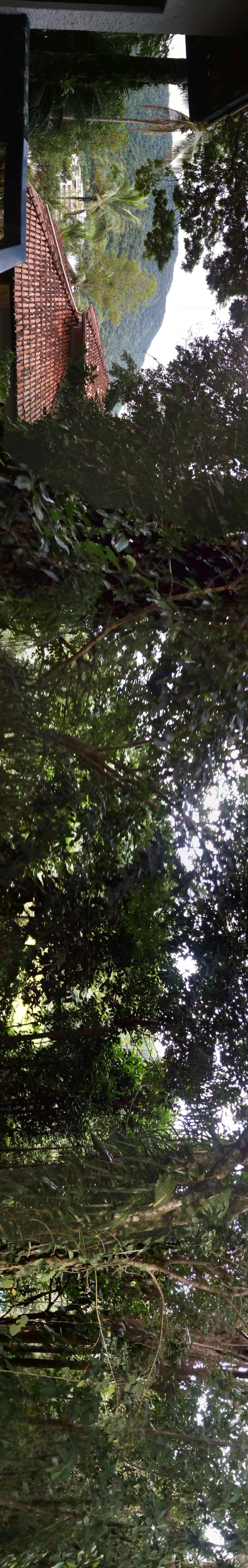 Annexe IMG_20200422_165141_compress52.jpg