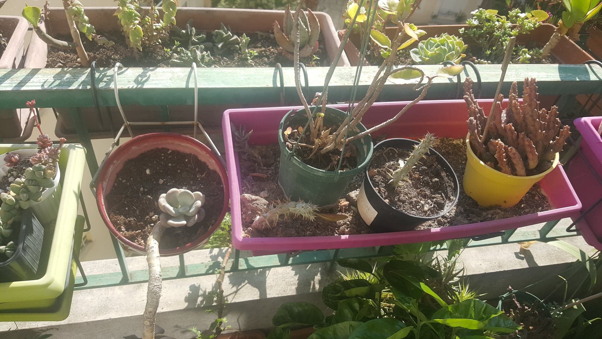 Annexe 94179170_558100595125373_7926449186575220736_n.jpg