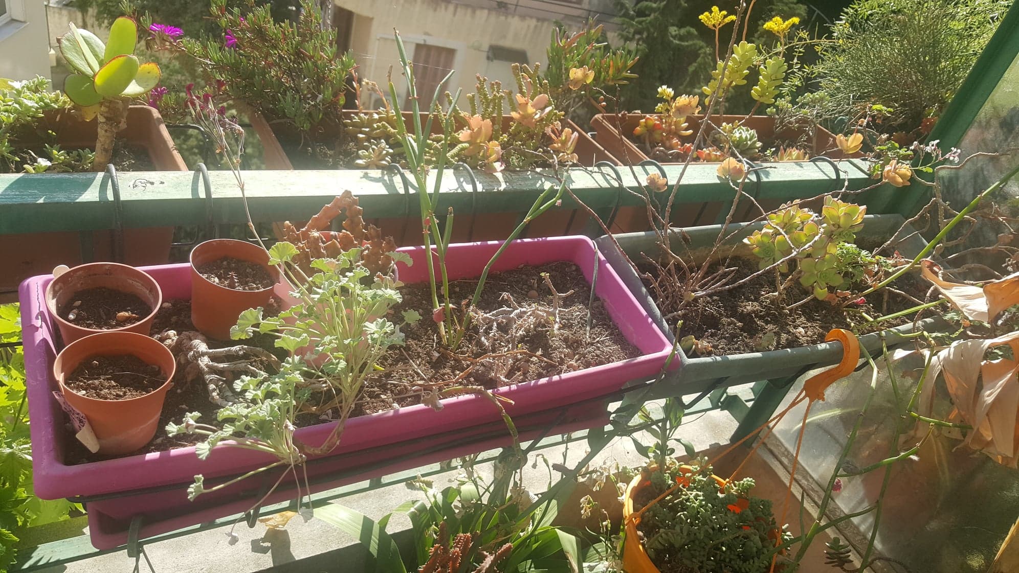 Annexe 94351069_675436896587896_4059940964666441728_n.jpg