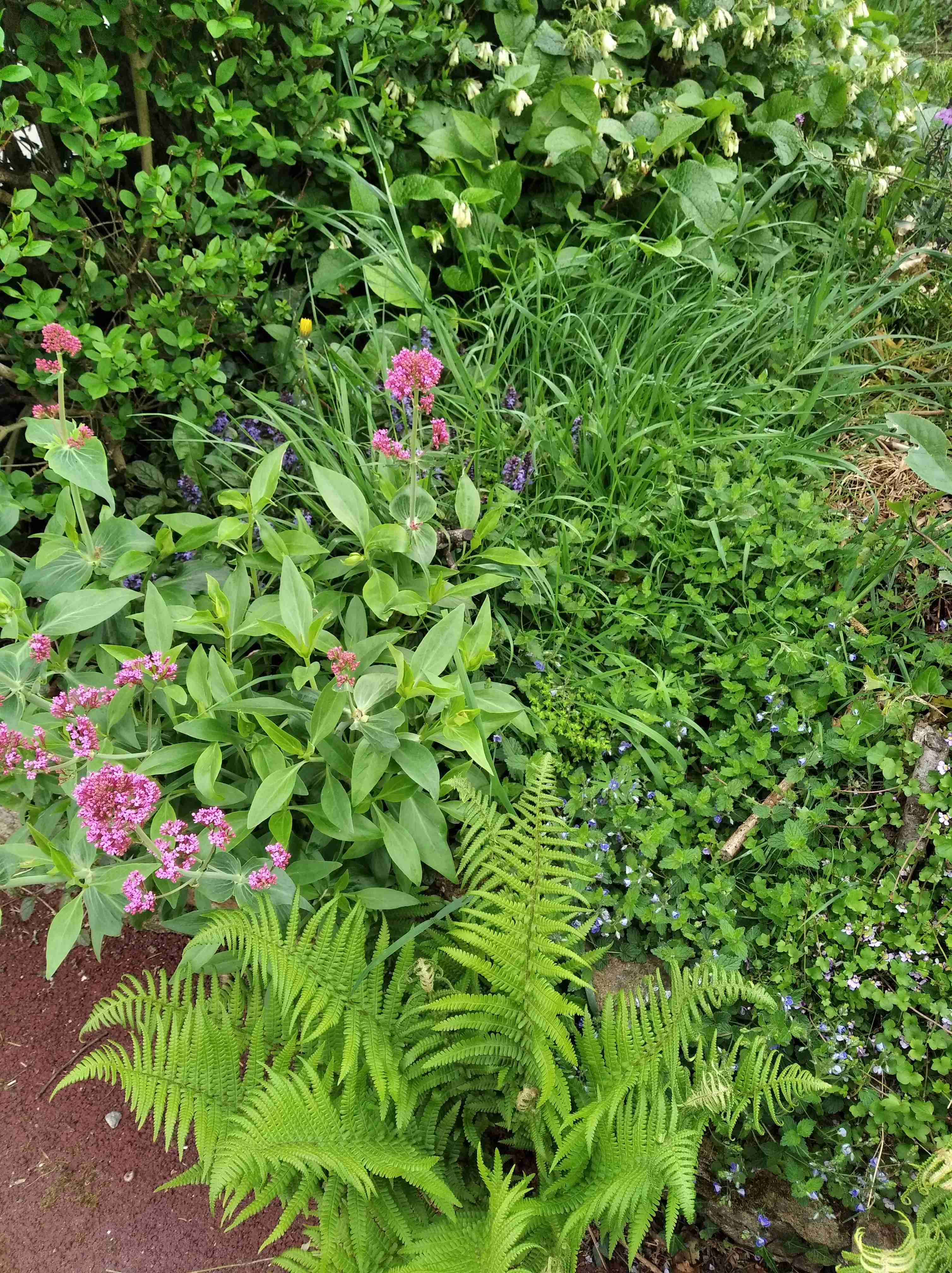 Annexe IMG_20200424_111711_1.jpg